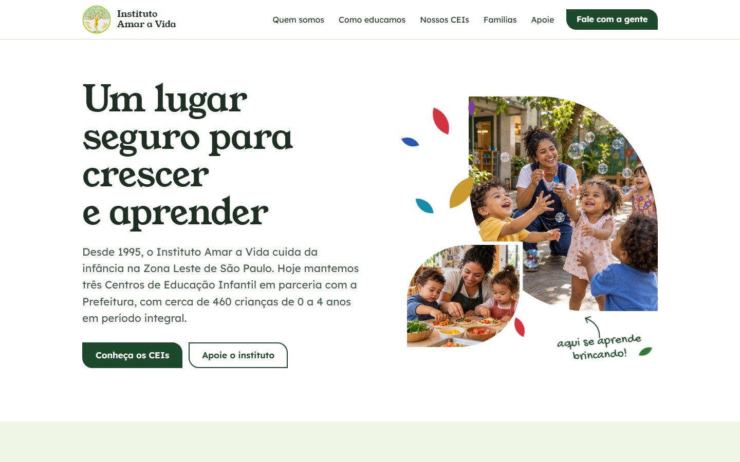 Primeira tela do site do Instituto Amar a Vida